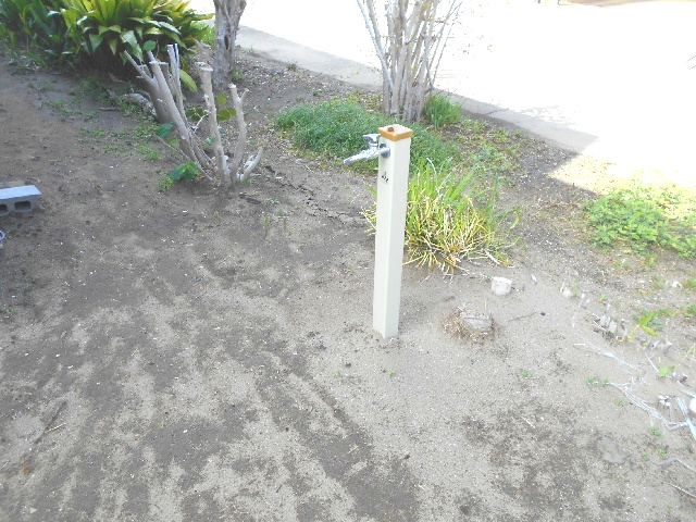 ʐ^