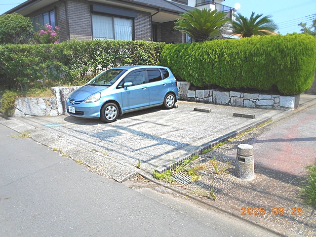 ʐ^