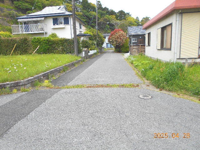 写真