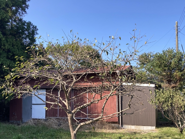 �����C���[�W