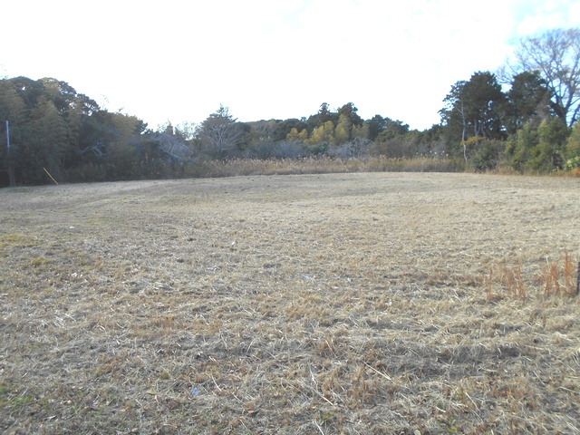 �����ݎs��R�@ 816�ؔ��y�n